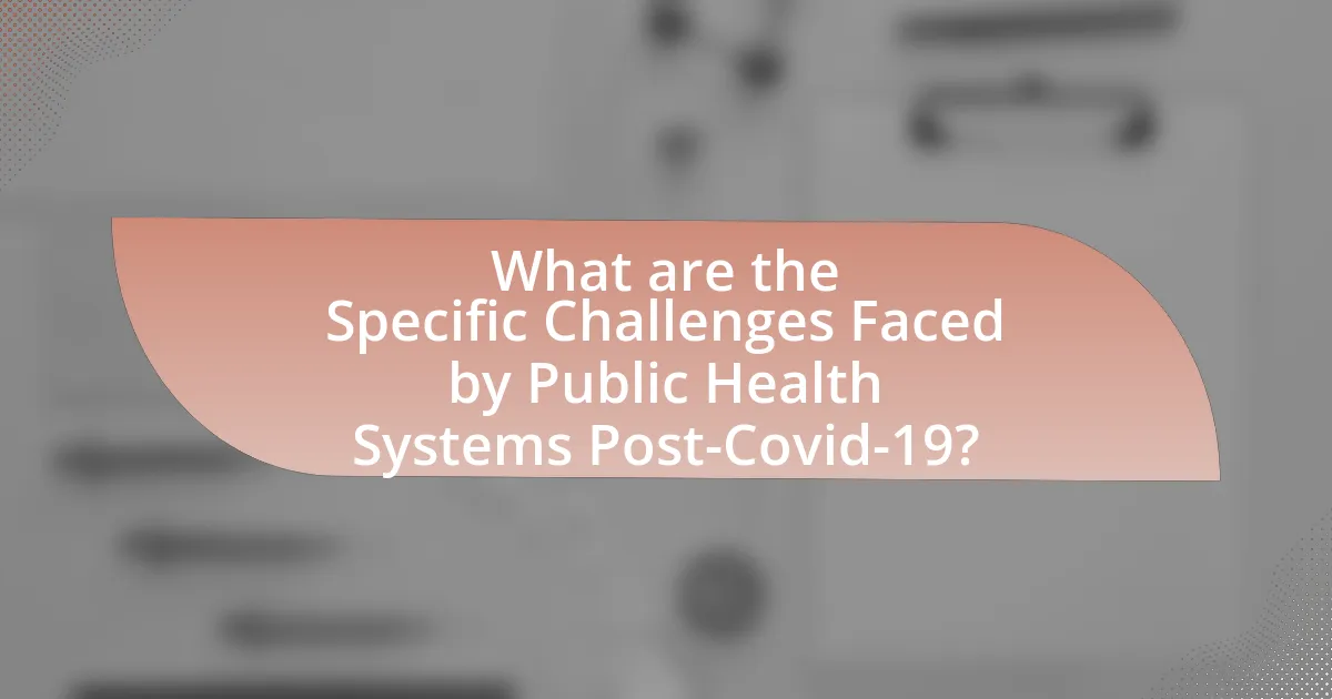What are the Specific Challenges Faced by Public Health Systems Post-Covid-19?