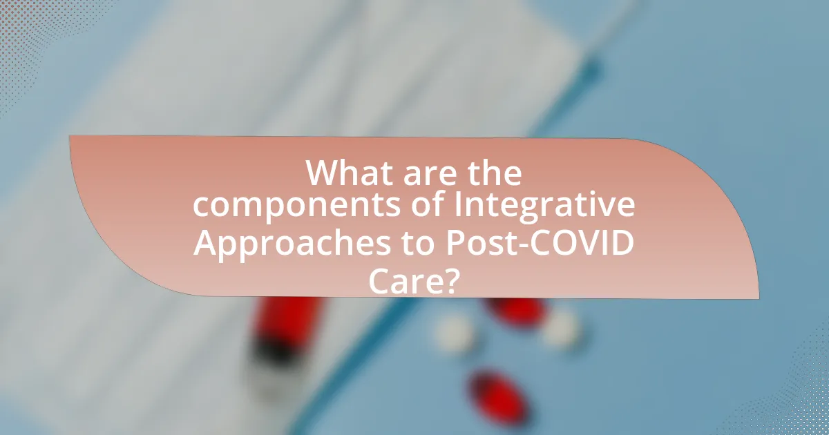 What are the components of Integrative Approaches to Post-COVID Care?